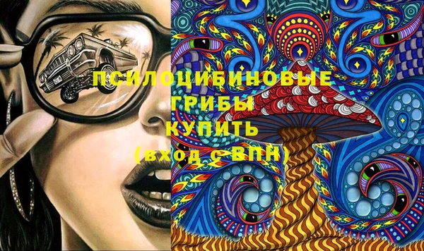 СК Корсаков