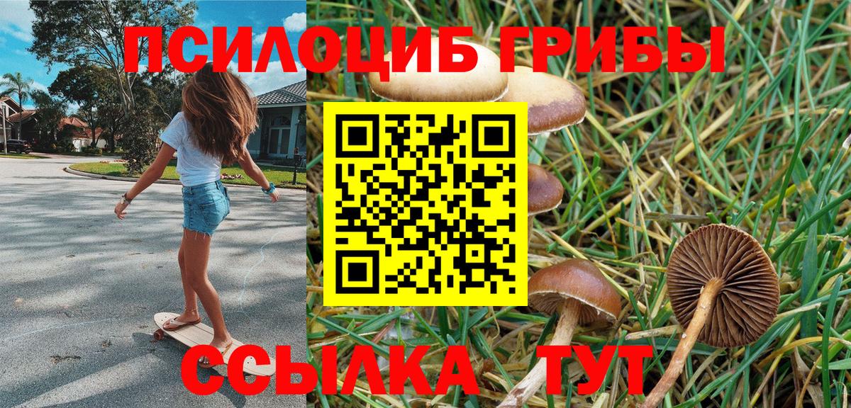 Кировск  Галлюциногенные грибы Magic Shrooms  где найти   Вход с VPN 
