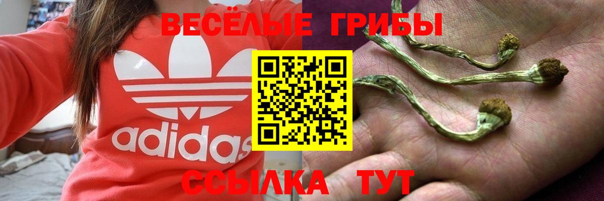 Псилоцибиновые грибы мицелий Кировск